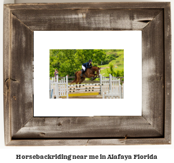 horseback riding near me in Alafaya, Florida